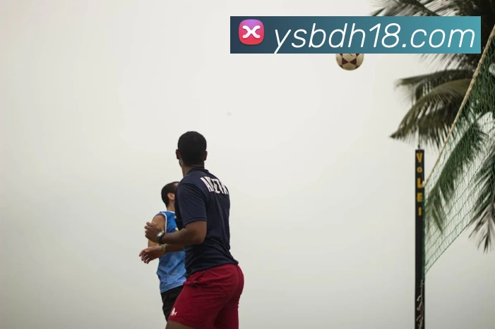 多媒体互动体验